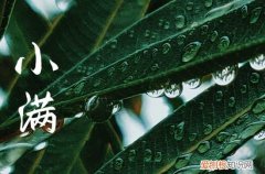 2023年小满节气的特征 小满的活动