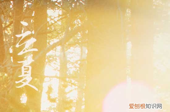 2023年立夏的特点有哪些 气温升高雨水增多