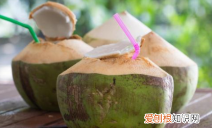 coconut是什么梗，英语"coconut"什么意思