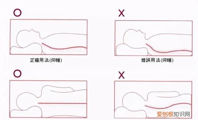 平卧位和仰卧位的区别，平躺和仰卧有什么区别图片