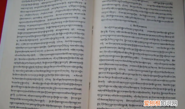 376藏语表示啥意思，多吉藏语是什么意思