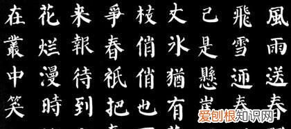 初学书法视频1一24集,可以把勤礼碑和多宝塔同时练习