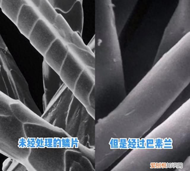 好的羊毛衫怎么选,怎么选择一款好的羊毛衫