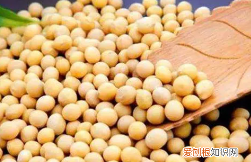 黄豆的蛋白质含量是多少,大豆蛋白质含量是什么意思啊
