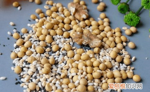 黄豆的蛋白质含量是多少，大豆蛋白质含量是什么意思啊