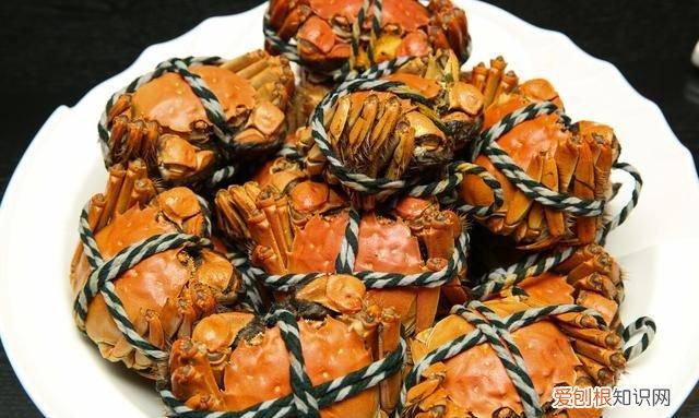 关于螃蟹吐泡泡的事,你应该了解一下什么