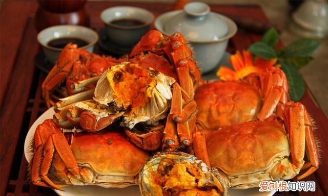 关于螃蟹吐泡泡的事,你应该了解一下什么