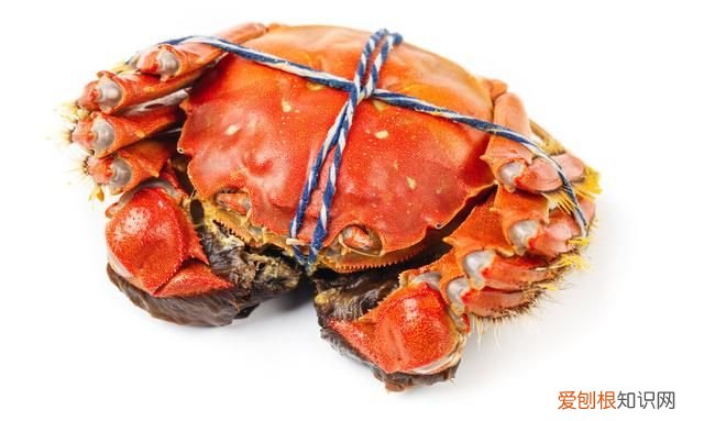 关于螃蟹吐泡泡的事,你应该了解一下什么
