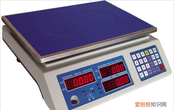 1000牛等于多少千克,00牛相当于多少kg的力