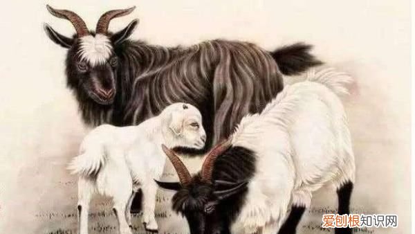 97年出生是什么命,九七年出生是什么命