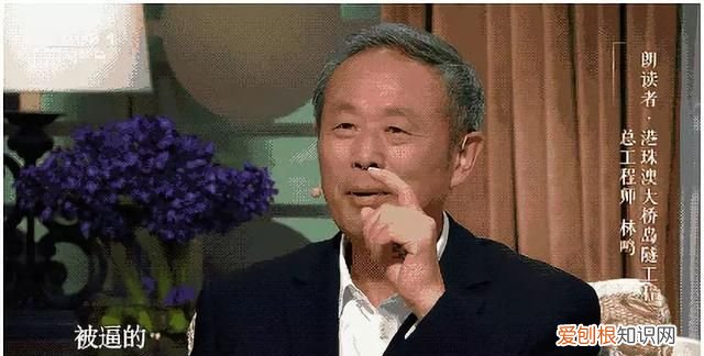 外国人震撼中国的港珠澳大桥 辉煌中国港珠澳大桥