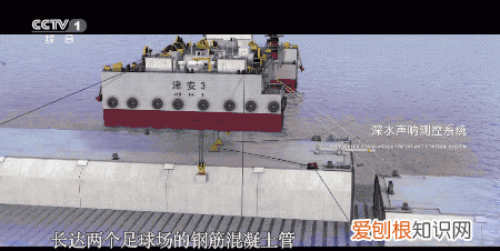 外国人震撼中国的港珠澳大桥 辉煌中国港珠澳大桥