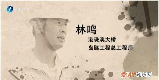 外国人震撼中国的港珠澳大桥 辉煌中国港珠澳大桥