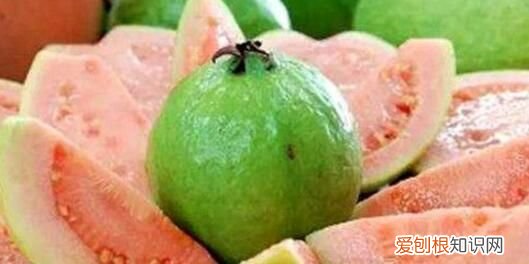 芭乐叶水是酸性还是碱性 芭乐是热性还是凉性