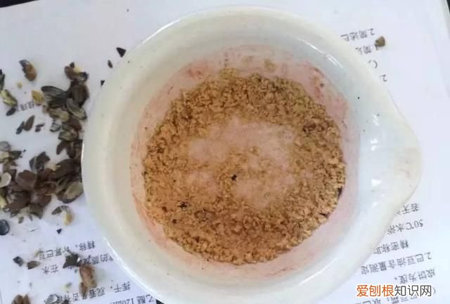 每日一记中药二巴豆看完不再踩坑