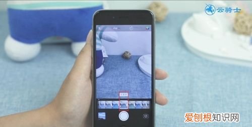 相机照片偏黄怎么调，苹果手机拍照颜色发黄怎么调整