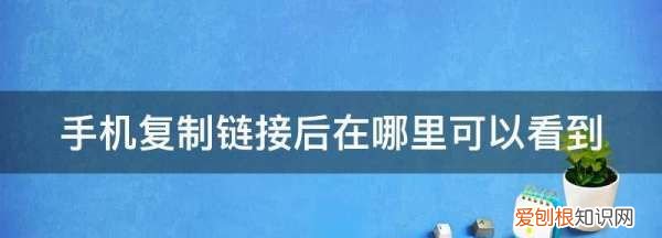 复制链接后到哪里去了，手机复制链接后在哪里可以看到抖音