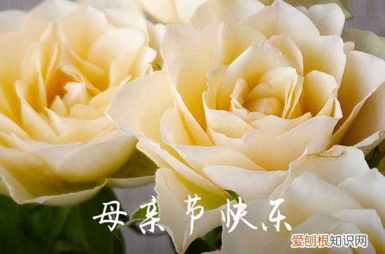 精选 母亲节祝福语文案80句