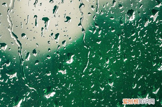 二十四节气之谷雨介绍 谷雨三候是什么