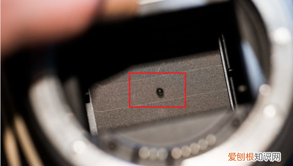 单反可以拍太阳，单反可以对着太阳拍吗