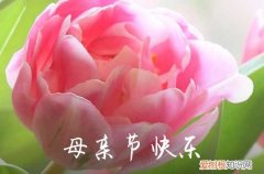 母亲节祝福文案幼儿园简短85句