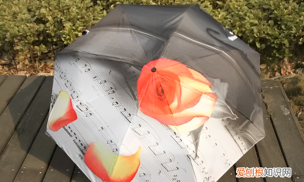 自动伞打不开怎么办，自动伞按钮按不动了怎么回事