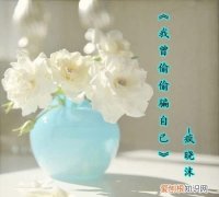 我曾偷偷流泪过是什么歌，我曾偷偷流泪过抖音文案