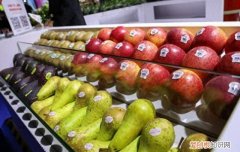 进博图集│南美有机香蕉、东南亚黑钻凤梨、肯尼亚牛油果首度进入中国市场，带来美味和健