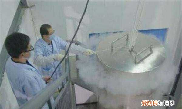 人体冷冻术有复活的,第一个冷冻人复活了吗