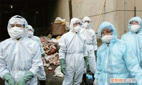 人体冷冻术有复活的,第一个冷冻人复活了吗