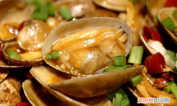 炒花甲需要先焯水吗，炒熟的花蛤过夜了还能吃