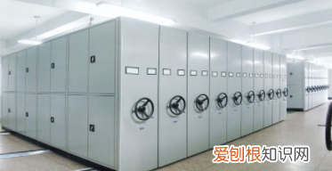 档案编号怎么编