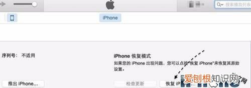 iphone显示已停用请连接itunes怎么办