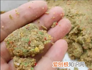 都用什么饵料钓鱼，钓鱼用什么鱼饵最好