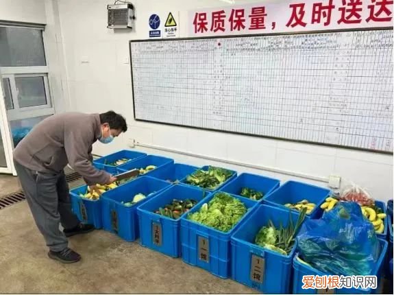 300名员工和动物一起隔离60天，上海这样的做法你怎么看