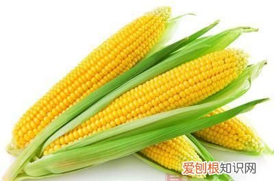 玉米是助消化还是难消化的