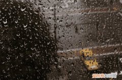 谷雨吃什么风俗食物好 谷雨吃春是什么意思