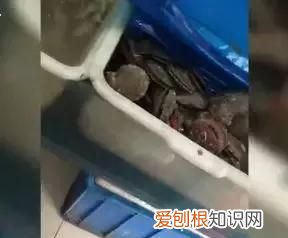 紧急提醒这种常见海鲜最近不要吃