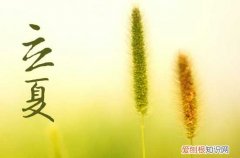 立夏需要进补吗 立夏吃什么补身体