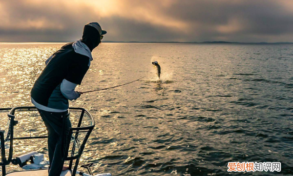 钓鱼长杆怎么使用，长竿短线一般怎么搭配线和钩