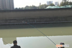 钓鱼长杆怎么使用，长竿短线一般怎么搭配线和钩