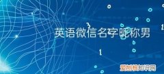 velpro微信名啥意思