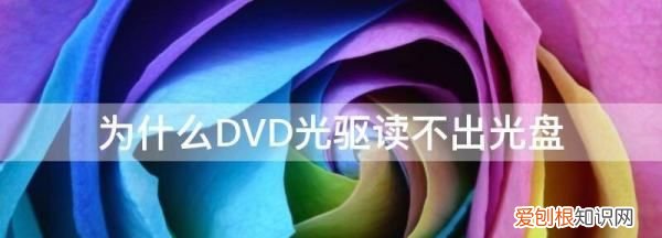 DvD怎么读，dvd不读碟什么原因