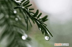 2023年谷雨天气一般多少度 谷雨气温增加还是降低