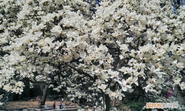 江苏连云港有什么地方