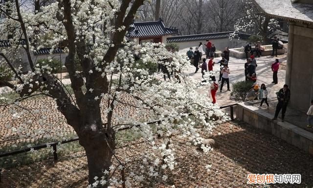 江苏连云港有什么地方