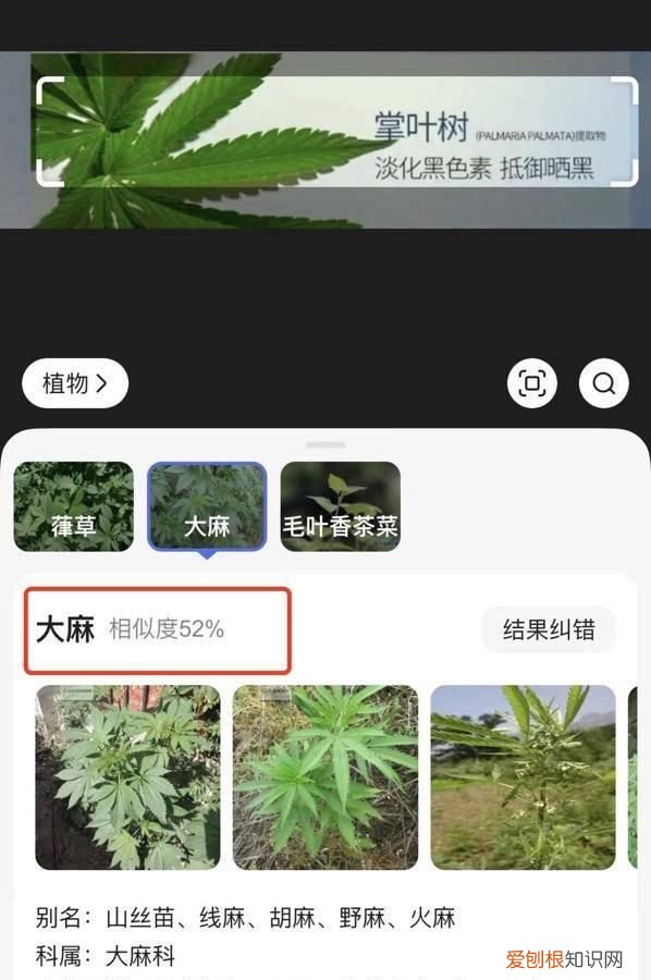 美肤宝化妆品一套多少钱,美肤宝化妆品有客服电话吗