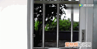 一勺洗衣粉消灭蟑螂