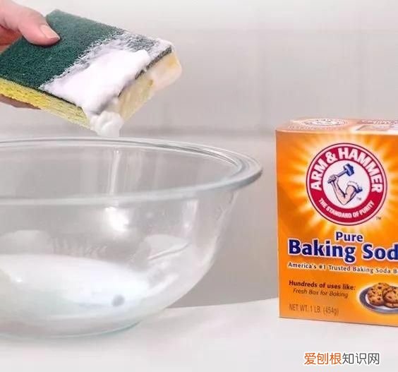 一勺洗衣粉消灭蟑螂