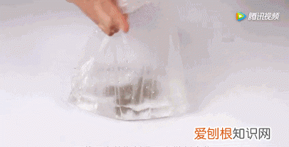 一勺洗衣粉消灭蟑螂